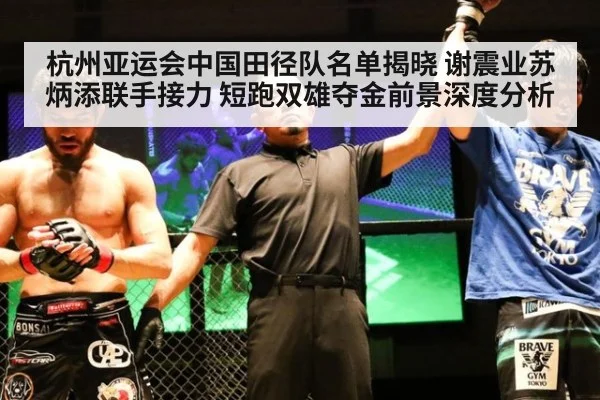 杭州亚运会中国田径队名单揭晓 谢震业苏炳添联手接力 短跑双雄夺金前景深度分析