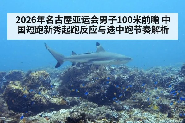 2026年名古屋亚运会男子100米前瞻 中国短跑新秀起跑反应与途中跑节奏解析